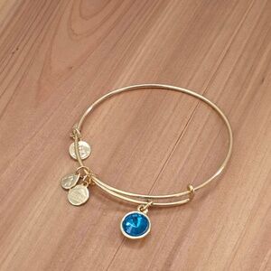 Alex and Ani Gold December Birthstone Bracelet